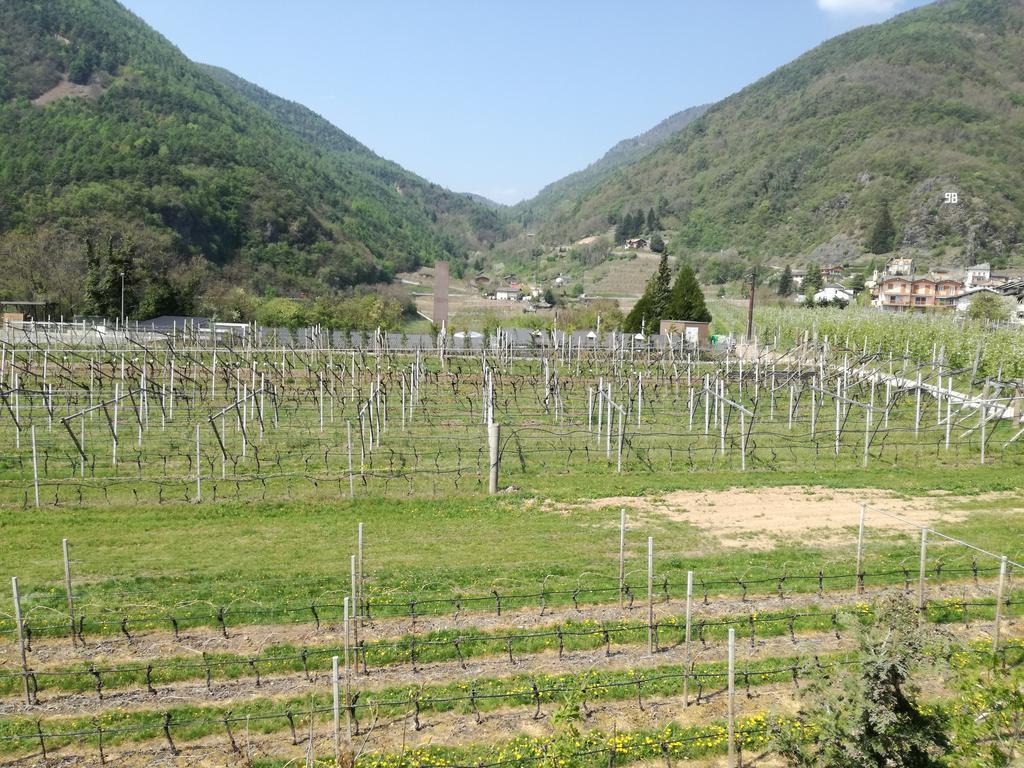 Agriturismo Le Cavade Чембра Экстерьер фото
